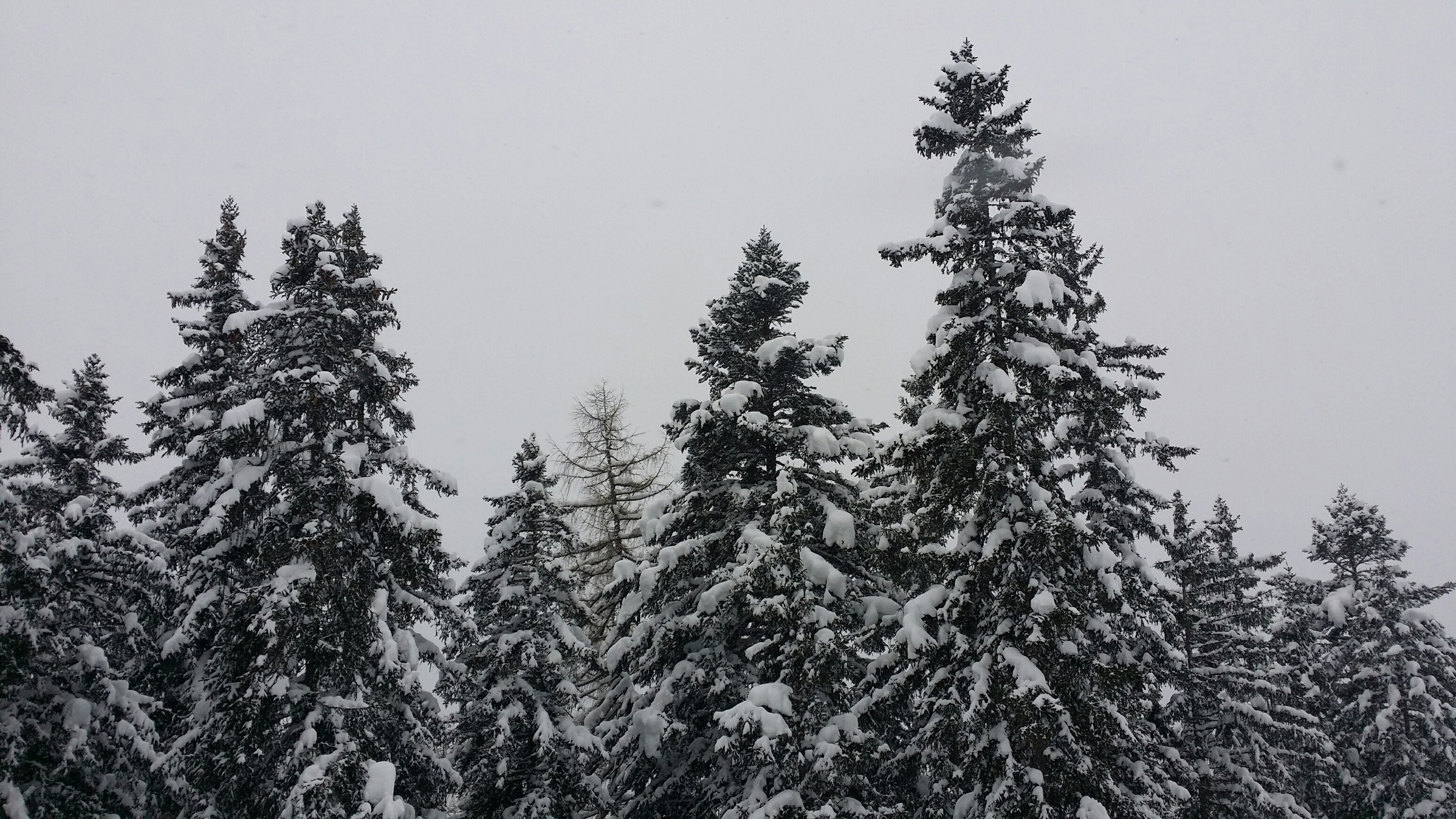 Seefeld