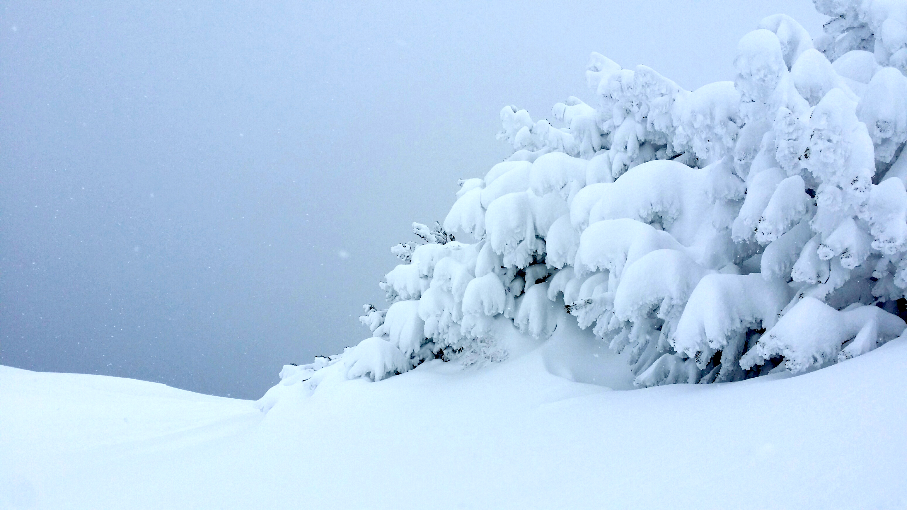 Neuschnee in Seefeld.
