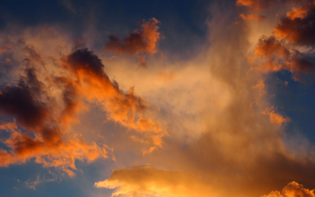 06_HeaderSlider–SMHR_1200x750px